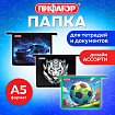 Папка для тетрадей ПИФАГОР А5, 1 отделение, пластик, на молнии, АССОРТИ для мальчиков, 274523