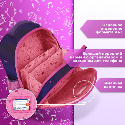 Ранец BRAUBERG KIDS STANDARD, 2 отделения, "Любознательный кот", 36х28х14 см, 273145