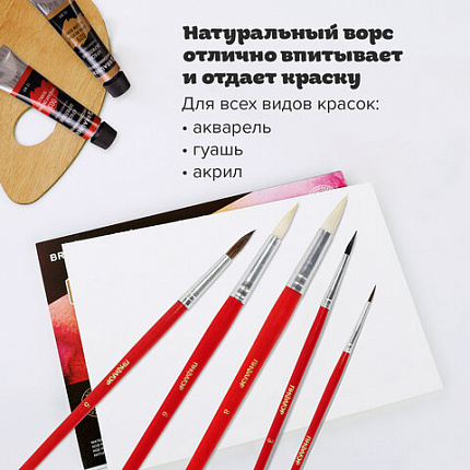 Кисти ПИФАГОР, набор 5 шт. (БЕЛКА: круглая № 3; КОЗА: круглые № 6, 8; ПОНИ: круглые № 2, 5), пакет с европодвесом, 200231