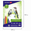 Бумага для рисования и графики в коробе А3, 50 л., 200 г/м2, ВАТМАН ГОЗНАК СПб, BRAUBERG ART, 114490