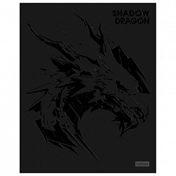 Тетрадь А5, 48 л., HATBER, скоба, клетка, матовая ламинация, 3D-лак, "Shadow" (микс в спайке), 093204, 48Т5лолВ1