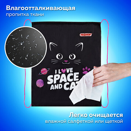 Мешок для обуви ПИФАГОР, 1 отделение, 42х34 см, "Черный кот", 273419