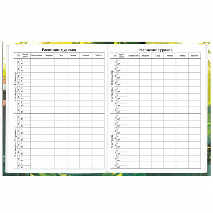 Дневник 1-11 класс 40 л., твердый, BRAUBERG, глянцевая ламинация, "Девочка и кот", 107166