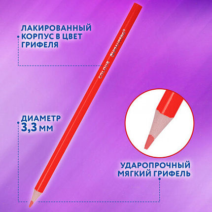 Карандаши цветные BRAUBERG PREMIUM 50 цветов в тубе, трехгранные, грифель 3,3 мм, 181935