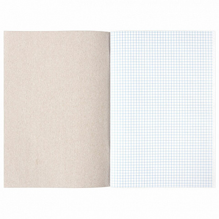Книга учета 96 л., клетка, обложка из мелованного картона, блок офсет, А4 (200х290 мм), STAFF, 130187