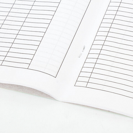 Журнал приёма детей в группу, 48 л., А4 (200х280 мм), картон, офсет, альбомная ориентация, STAFF, 130249