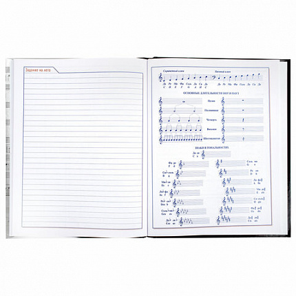 Дневник для музыкальной школы твердый, 48 л., HATBER "Клавиши", 039820, 48ДТмз5В_14210