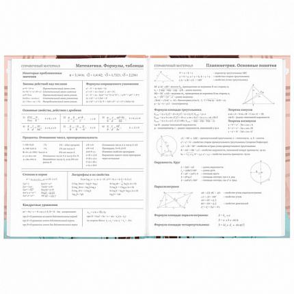 Дневник 5-11 класс 48 л., твердый, BRAUBERG, глянцевая ламинация, с подсказом, "Summer girl", 106882