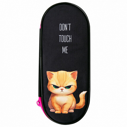 Пенал-футляр BRAUBERG, 1 отделение, органайзер, полиэстер, 22x9х5 см, "Angry kitty", 273566