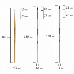 Кисти BRAUBERG, набор 5 шт. (белка, круглые № 1, 2, 3, 4, 5), блистер, 200217