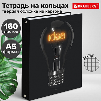 Тетрадь на кольцах А5 (175х215 мм), 160 листов, твердый картон, клетка, BRAUBERG, Idea, 404091