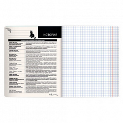 Тетрадь предметная КОТ-НЕПОСЕДА 48 л., пластиковая обложка, ИСТОРИЯ, клетка, подсказ, BRAUBERG, 405534