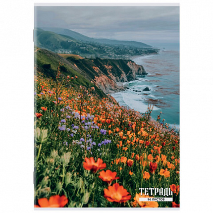 Тетрадь А4 96 л. STAFF College скоба, клетка, офсет №2 ЭКОНОМ, обложка картон, ПРИРОДА, 405621