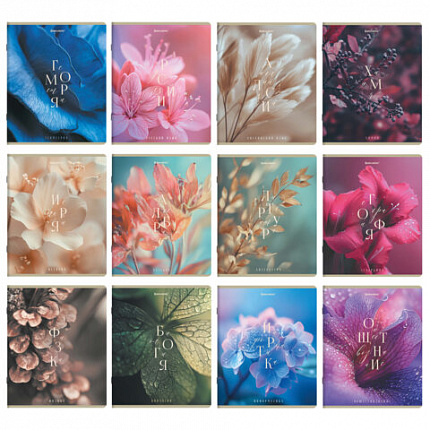 Тетради предметные, КОМПЛЕКТ 12 ПРЕДМЕТОВ 48л, пластиковая обложка, BRAUBERG "PURE NATURE", 405543