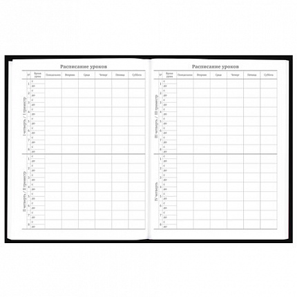 Дневник 5-11 класс 48 л., твердый, BRAUBERG, выборочный лак, с подсказом, "Dragon", 107195