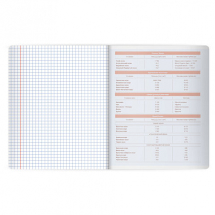 Тетрадь предметная MonoPastel 48л, пластиковая обложка, ГЕОГРАФИЯ, клетка, подсказ, BRAUBERG, 405505