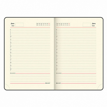 Ручка шариковая PARKER "Jotter Plastic CT", корпус черный, ежедневник А5 черный, белый срез, пакет, 880895