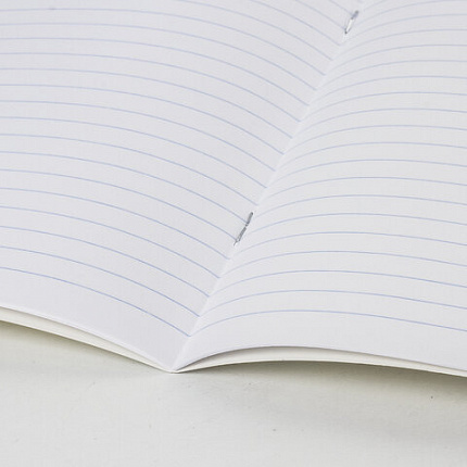 Тетрадь 12 л. BRAUBERG "КЛАССИКА NEW" линия, обложка картон, АССОРТИ (5 видов), 105690