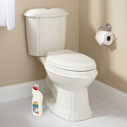 Средство для уборки туалета кислотное 750 г, LAIMA PROFESSIONAL "Лимон-WC Гель", утенок, 604793