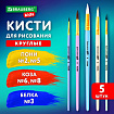 Кисти НАБОР 5 шт. (БЕЛКА круглая № 3; КОЗА круглые № 6, 8; ПОНИ круглые № 2, 5), BRAUBERG KIDS, 201080
