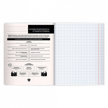 Тетрадь предметная КОТ-НЕПОСЕДА 48л, пластиковая обложка, ОБЗР, клетка, подсказ, BRAUBERG, 405539