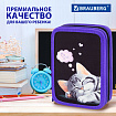 Пенал BRAUBERG, 3 отделения, полиэстер, 21х14 см, "Спящий котенок", 273538