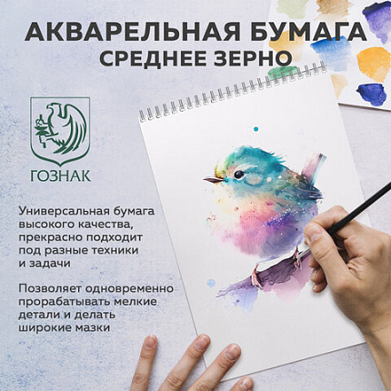 Бумага для акварели А3 40 л., 200 г/м2 ГОЗНАК СПб, в коробке, BRAUBERG ART CLASSIC, "СИРЕНЕВЫЙ БУКЕТ", 116886