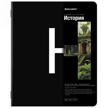Тетради предметные, КОМПЛЕКТ 12 ПРЕДМЕТОВ, INTELLIGENCE, 48л, матовая ламинация, BRAUBERG, 404845