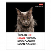 Тетрадь А5 48 л., HATBER скоба, клетка, обложка картон, "Котоюмор" (микс в спайке), 079790, 48Т5В1