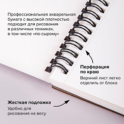 Альбом для акварели, бумага 300 г/м2, 190х270 мм, мелкое зерно, 16 листов, гребень, BRAUBERG ART "PREMIERE", 113214