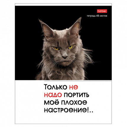 Тетрадь А5 48 л., HATBER скоба, клетка, обложка картон, "Котоюмор" (микс в спайке), 079790, 48Т5В1