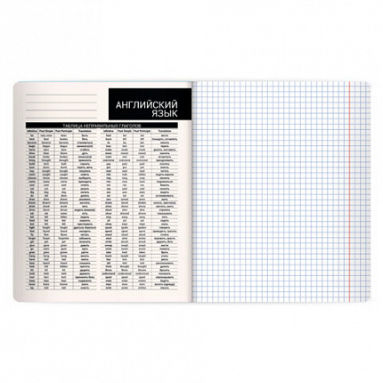 Тетрадь предметная КОТ-НЕПОСЕДА 48л, пластиковая обложка, АНГЛИЙСКИЙ ЯЗЫК, клетка, подсказ, BRAUBERG, 405529