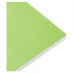 Тетрадь обложка пластик, А4, 80 л., гребень, клетка, HATBER, "LINE NEON" Зеленая, 081542, 80Т4В1гр_03034