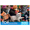 Пазл картонный 500 элементов АССОРТИ, 470х330 мм, РК
