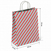 Крафт-пакет бумажный "Узкая полоса" 26х15х35 см, с кручеными ручками, плотность 100 г/м2, белый, 113228