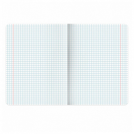 РЕЗЕРВ Тетрадь А5 48л. BRAUBERG МИЛЫЕ КОТЫ скоба, клетка, выборочный лак, 405193