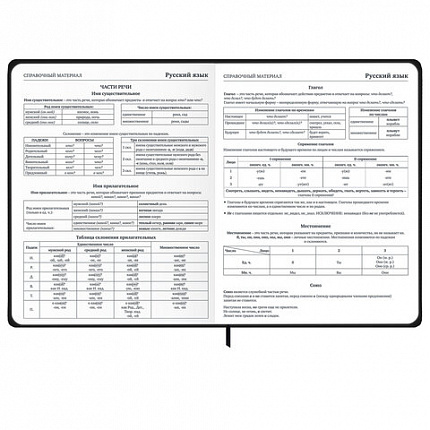 Дневник 1-11 класс 48 л., твердый, BRAUBERG, матовая ламинация, резинка, закладка-ляссе, с подсказом, "Элементы", 107242