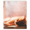 Тетрадь А5, 48 л., BRAUBERG, скоба, клетка, матовая ламинация, "Cats", (микс в спайке), 405334