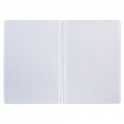 Тетрадь А4 80 л., HATBER, гребень, клетка, Soft-touch ламинация, цветной срез, "Рыба моя" (микс), 090167, 80Т4лВ1гр