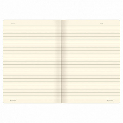 Тетради 40 л. в линию обложка SoftTouch, НАБОР 3 шт., бежевая бумага 70 г/м2, сшивка, А5 (147х210 мм), FLORA, BRAUBERG, 403798