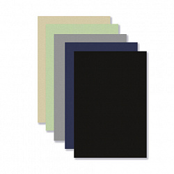 Бумага для пастели АБРАЗИВНАЯ А3 в папке, 20 листов, 5 цветов, 240 г/м2, BRAUBERG ART, 117764