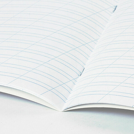 Тетрадь 12 л. BRAUBERG косая линия, обложка картон, CLASSIC, 107291