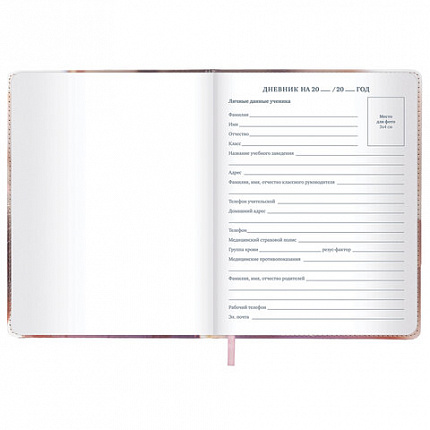 Дневник 1-11 класс 48 л., кожзам (твердая), застежка, BRAUBERG, "Котик с рыбкой", 107229