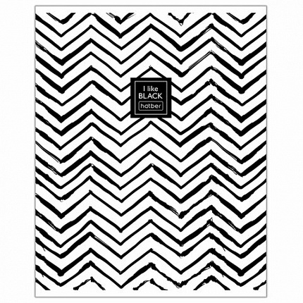 Тетрадь А5 48 л. HATBER скоба, клетка, ламинация, "I Like Black" (микс в спайке), 063153, 48Т5лВ1