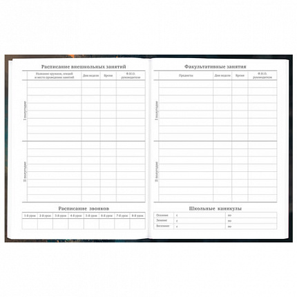 Дневник 5-11 класс 48 л., гибкая обложка, BRAUBERG, глянцевая ламинация, с подсказом, "Cat", 107181