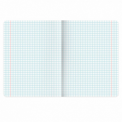 Тетради предметные, КОМПЛЕКТ 12 ПРЕДМЕТОВ, 48 л., TWIN лак, BRAUBERG "ASIA", 405174