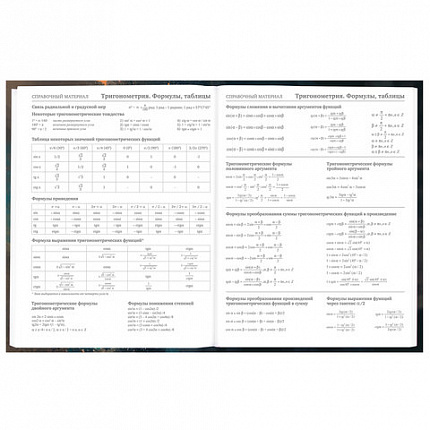 Дневник 5-11 класс 48 л., гибкая обложка, BRAUBERG, глянцевая ламинация, с подсказом, "Cat", 107181