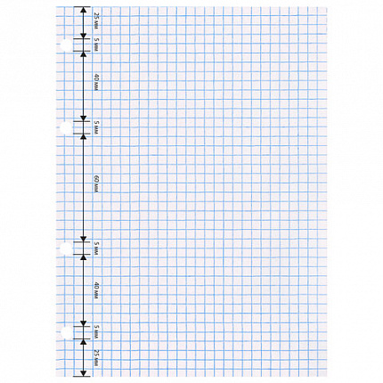 Сменный блок для тетради на кольцах, А5, 80 л., STAFF, "Белый", 401660