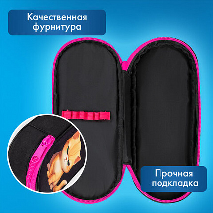 Пенал-футляр BRAUBERG, 1 отделение, органайзер, полиэстер, 22x9х5 см, "Сердитый котенок", 273566