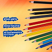 Карандаши цветные BRAUBERG PREMIUM 12 цветов + 1 чернографитный карандаш, трехгранные, грифель 3 мм, 181936